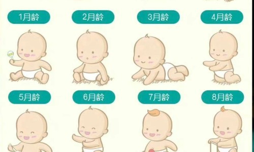 【中药材天地网】中药材天地网介绍 - 中药材天地供求网